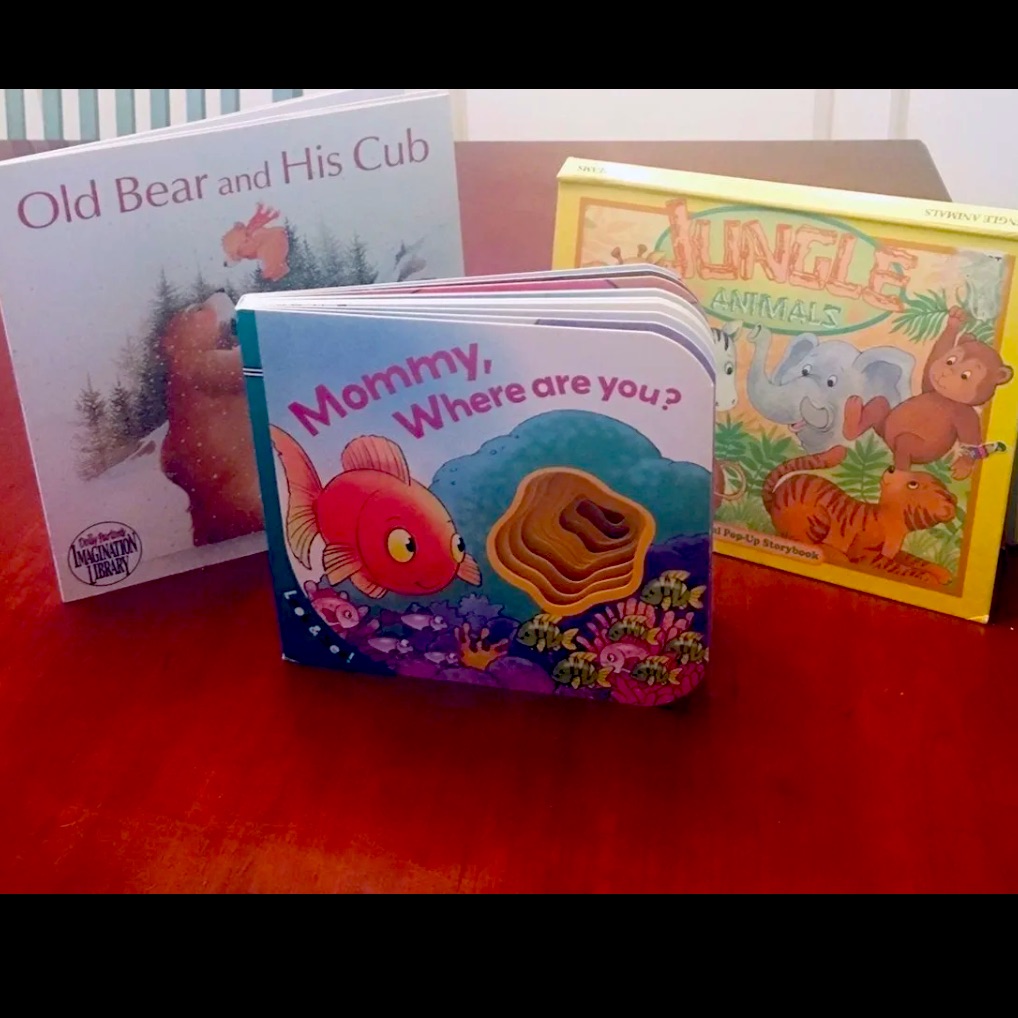 Interactive Children’s Book Bundle